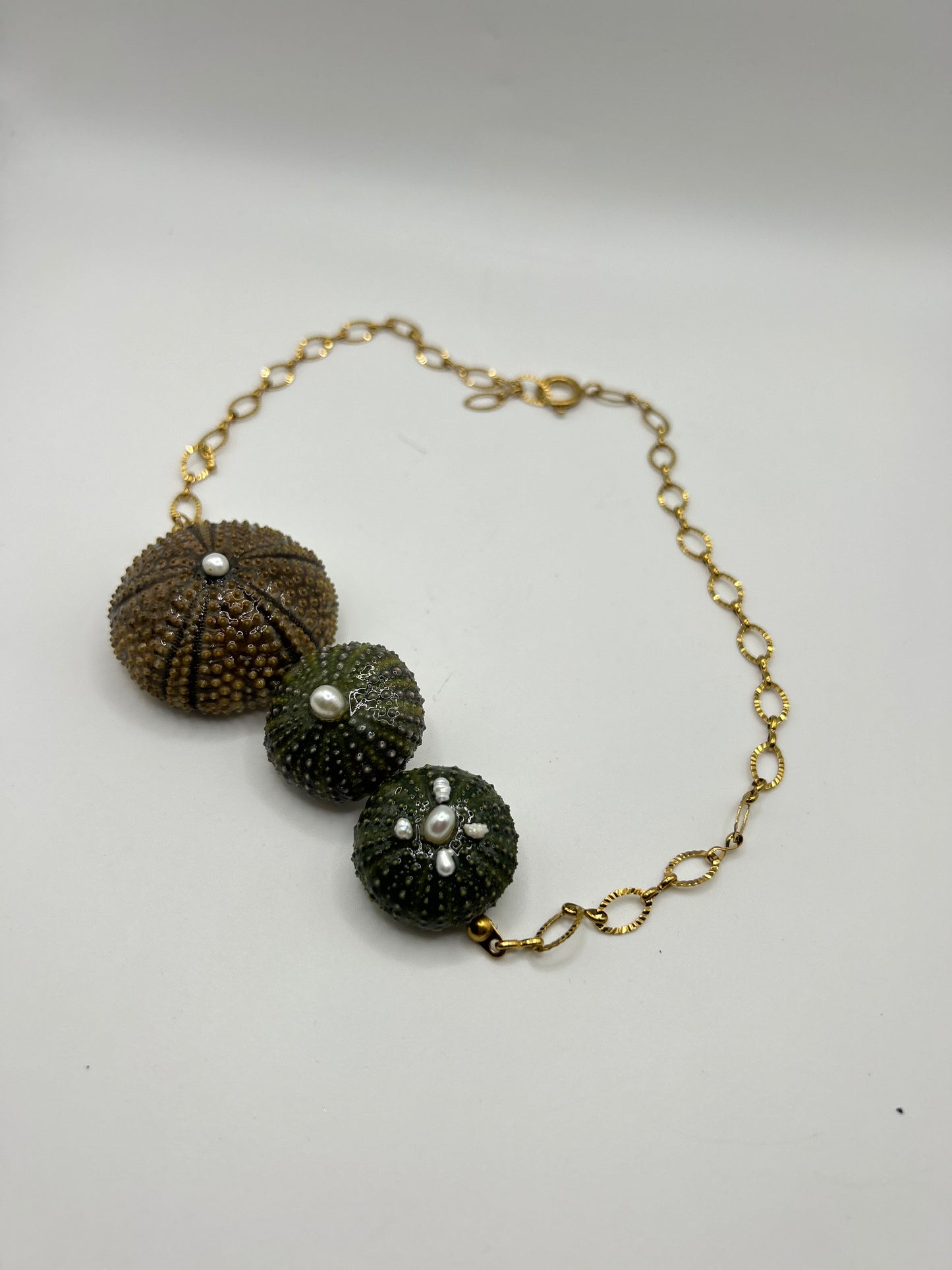 Collier Trois Oursins Véritables – Éclat Marin et Naturel