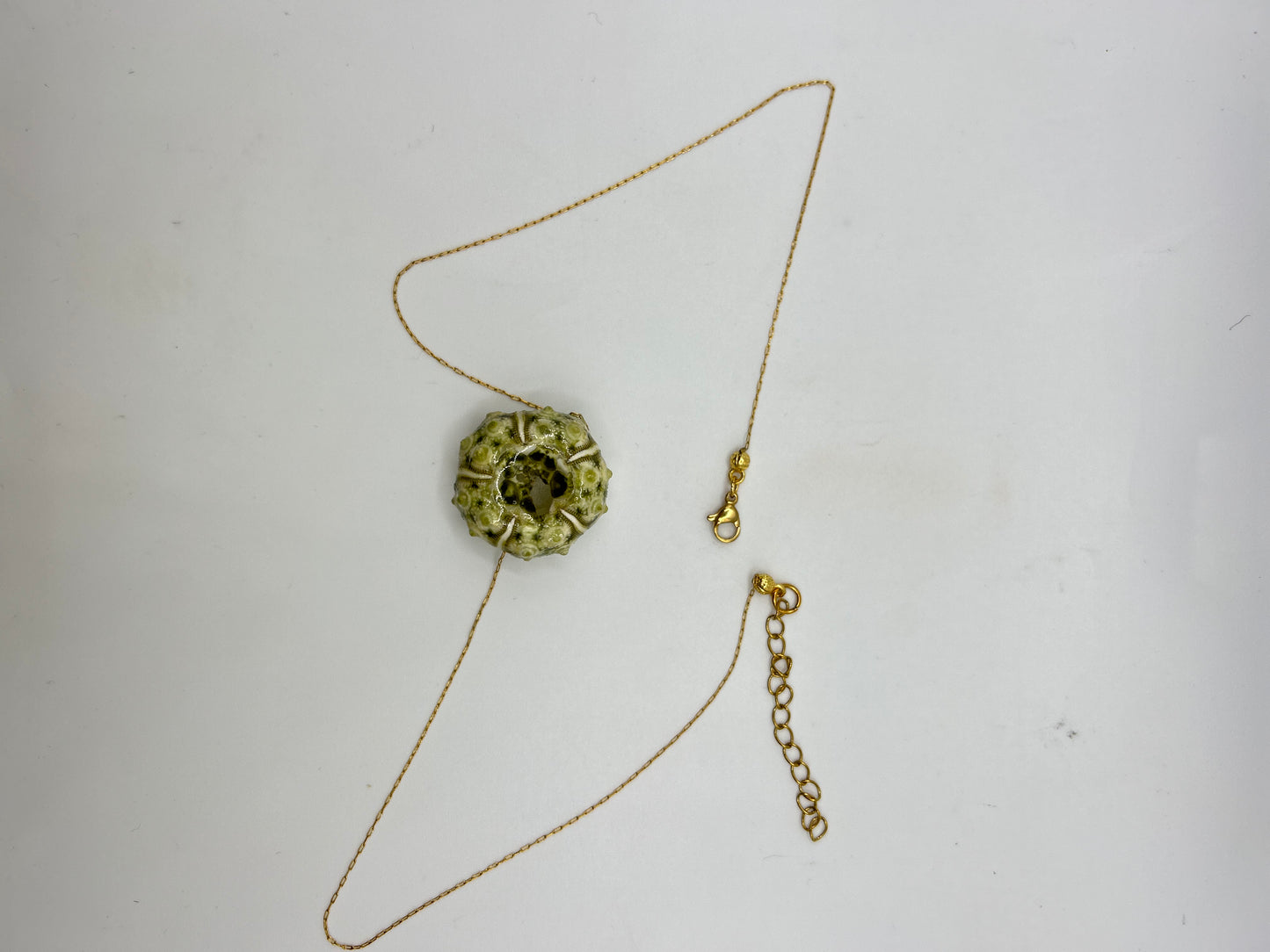 Collier oursin naturel sur chaîne fine en acier inoxydable – Bijou marin artisanal