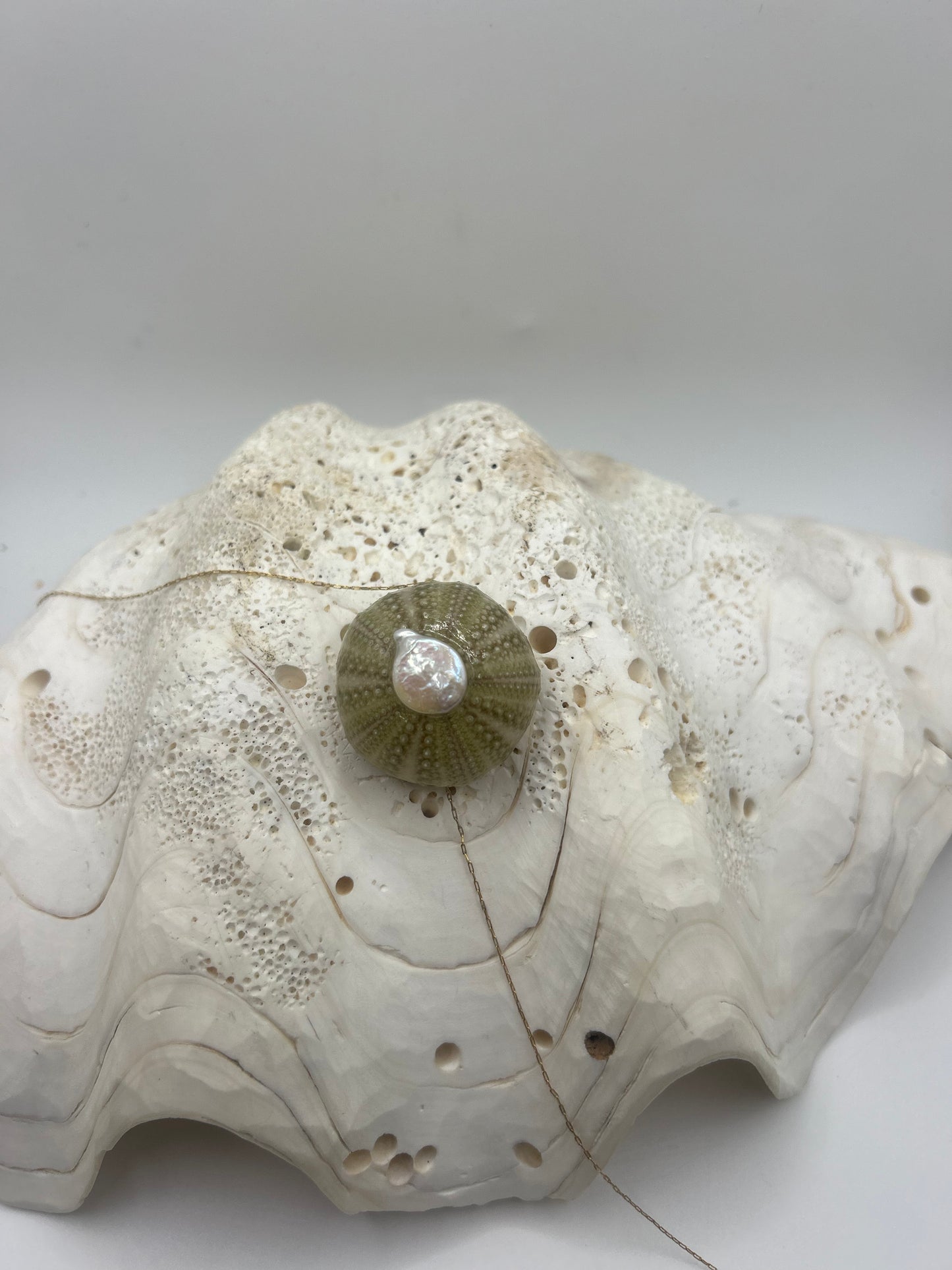 Bijou unique en oursin vert clair, inspiré par la beauté naturelle de la mer. Cette création délicate met en valeur un véritable oursin aux teintes vert pastel, soigneusement travaillé pour révéler ses détails organiques et sa texture naturelle. En son centre, une élégante perle Biwa vient sublimer l’ensemble avec ses reflets nacrés et sa forme irrégulière, apportant une touche d’authenticité et de raffinement.
Ce bijou marin artisanal évoque l’océan, la douceur des plages et l’élégance naturelle. Léger et