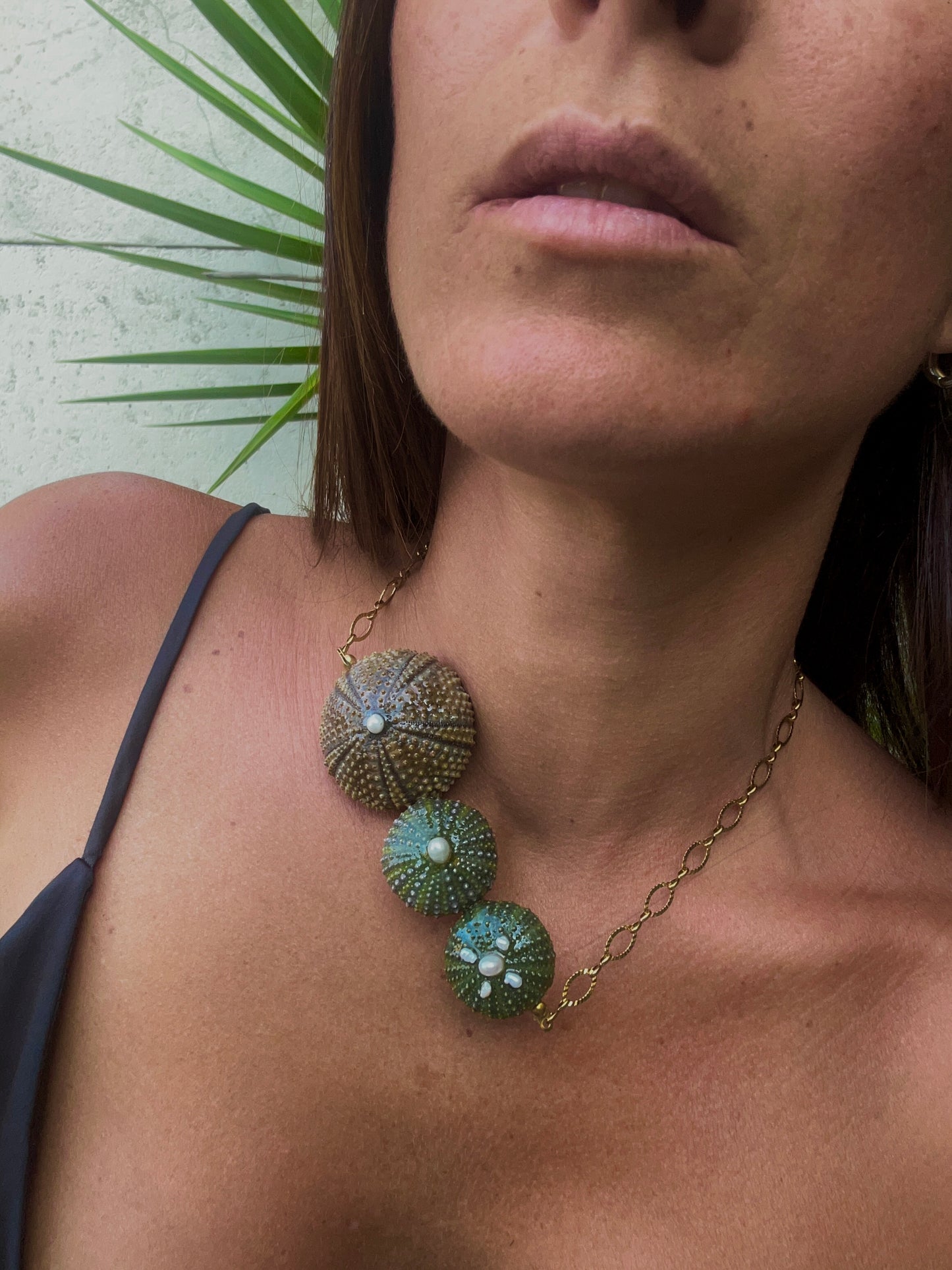 Collier Trois Oursins Véritables – Éclat Marin et Naturel