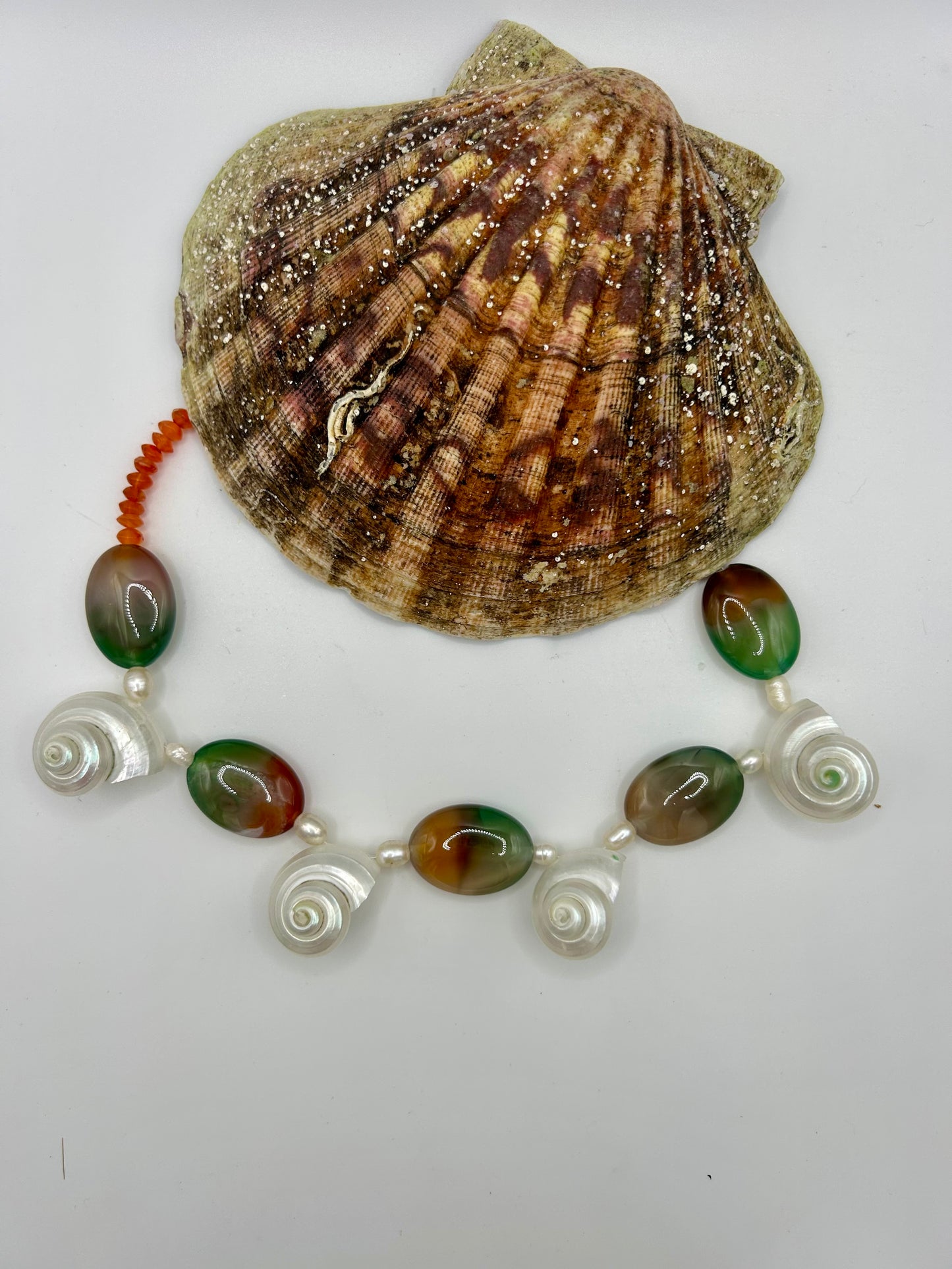Mystique du Sud – Agate de paon, cornaline & coquillage naturel