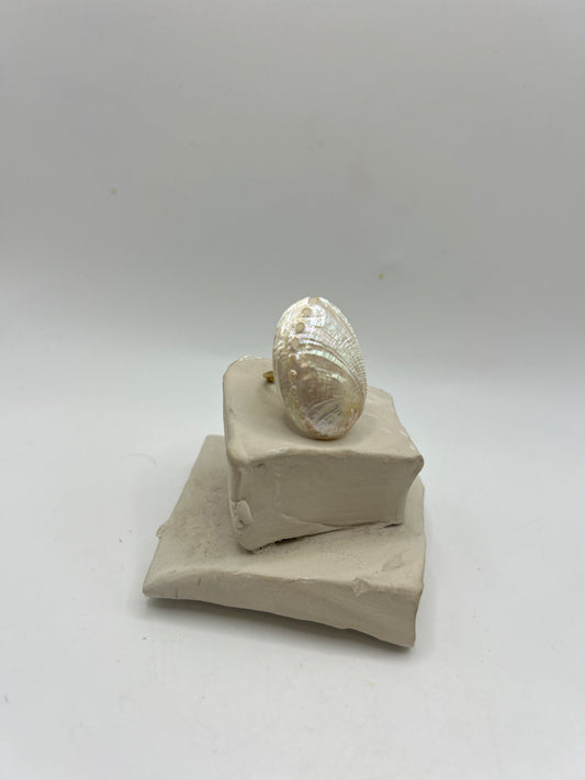  Bague abalone nacre ormeau reflets irisés bijou marin élégant