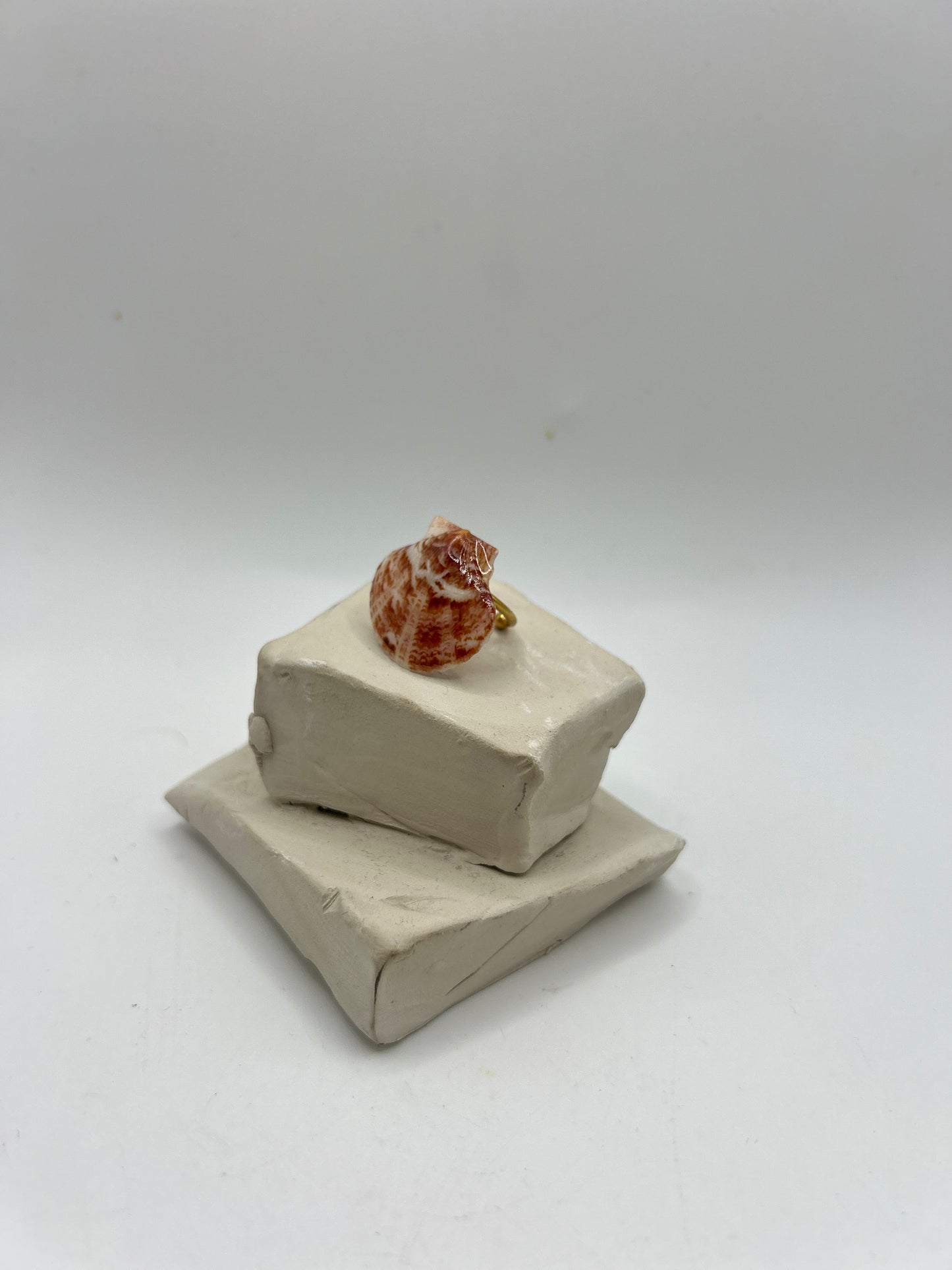 Petite bague artisanale ornée d’un coquillage naturel aux reflets nacrés, montée sur un anneau ajustable doré, création unique inspirée de la mer.