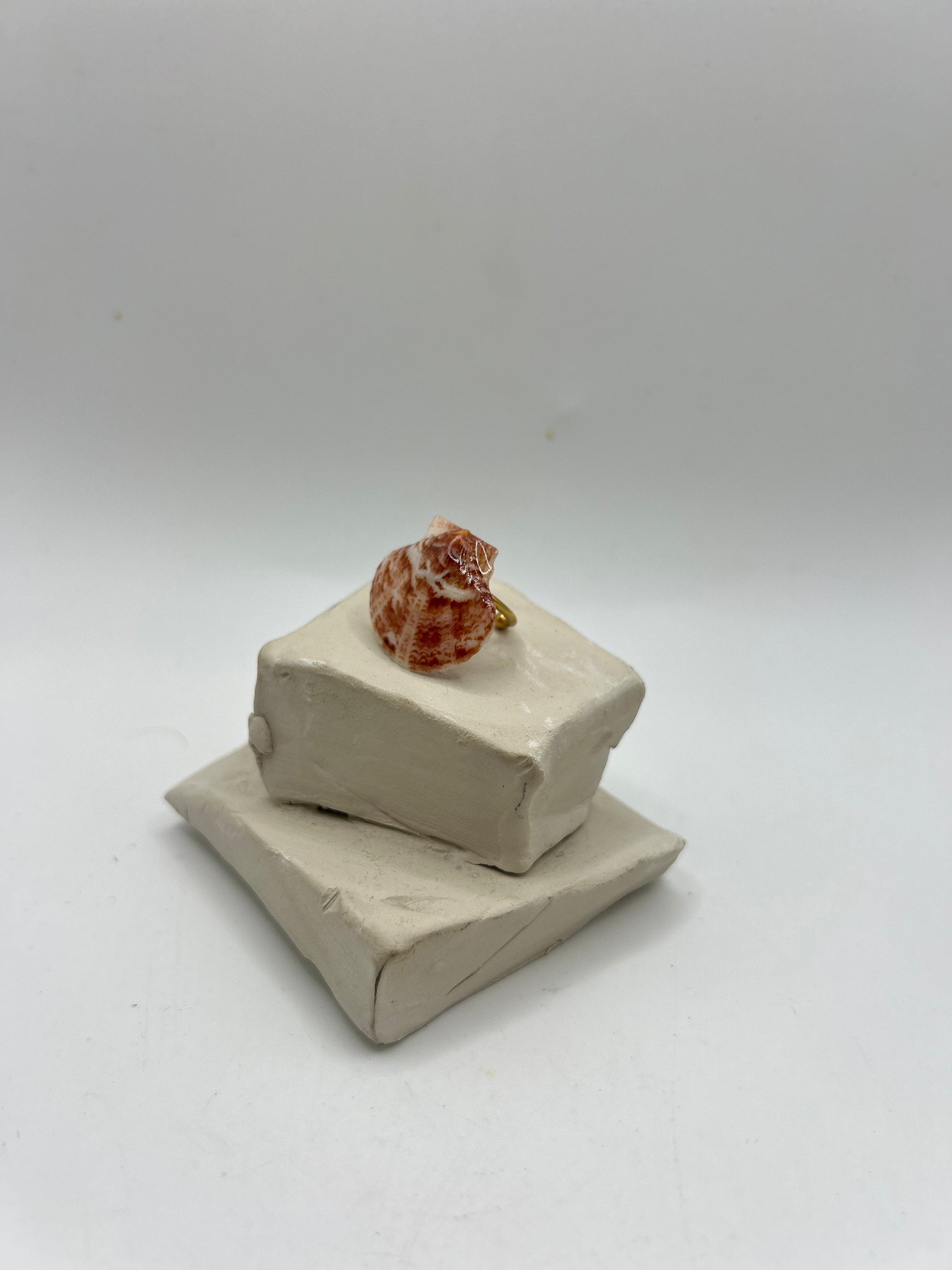 Petite bague artisanale ornée d’un coquillage naturel aux reflets nacrés, montée sur un anneau ajustable doré, création unique inspirée de la mer.