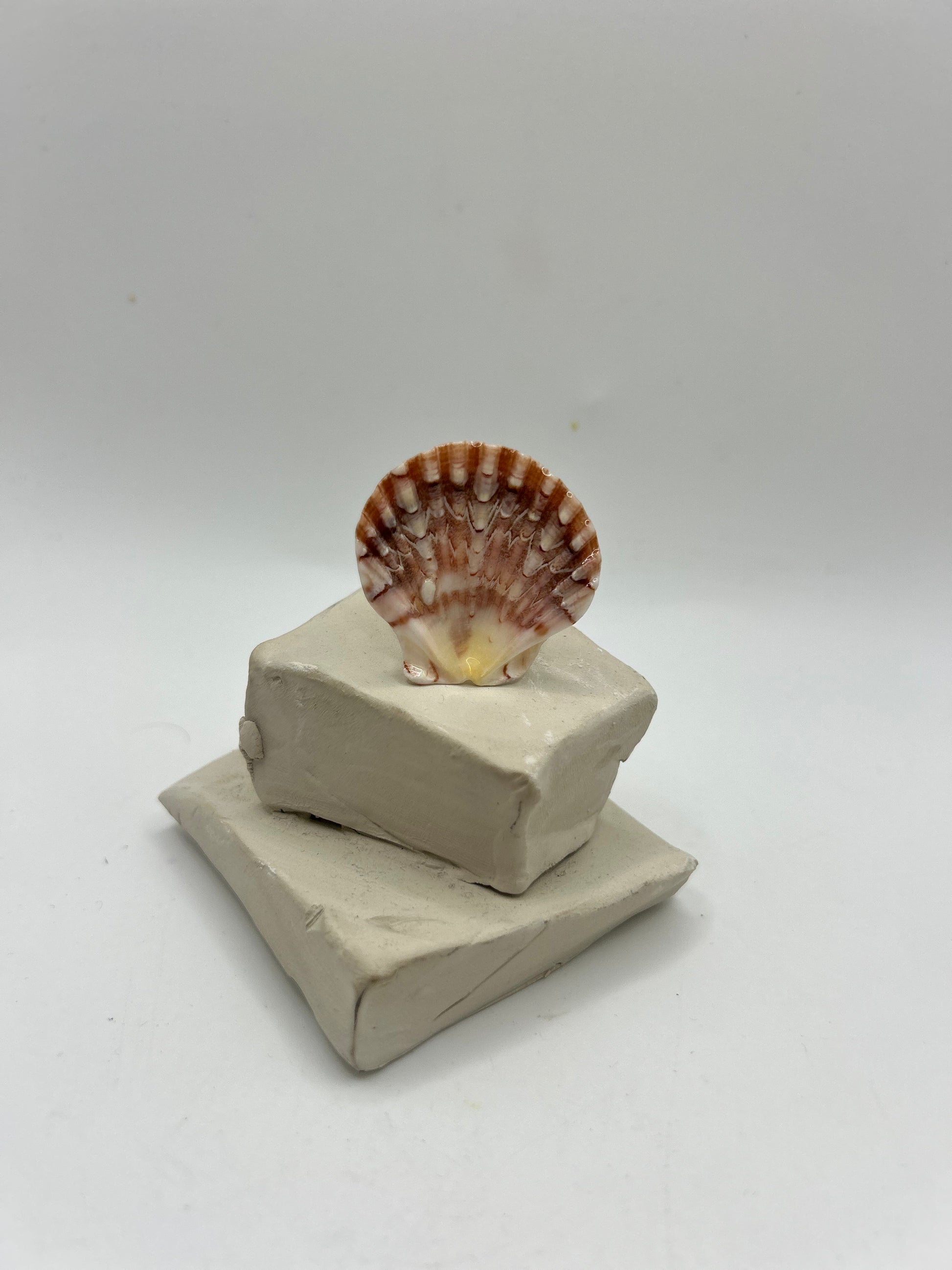 Bague artisanale avec coquillage naturel aux nuances rosées montée sur anneau doré ajustable, création unique inspirée de l’océan et du style bohème chic.