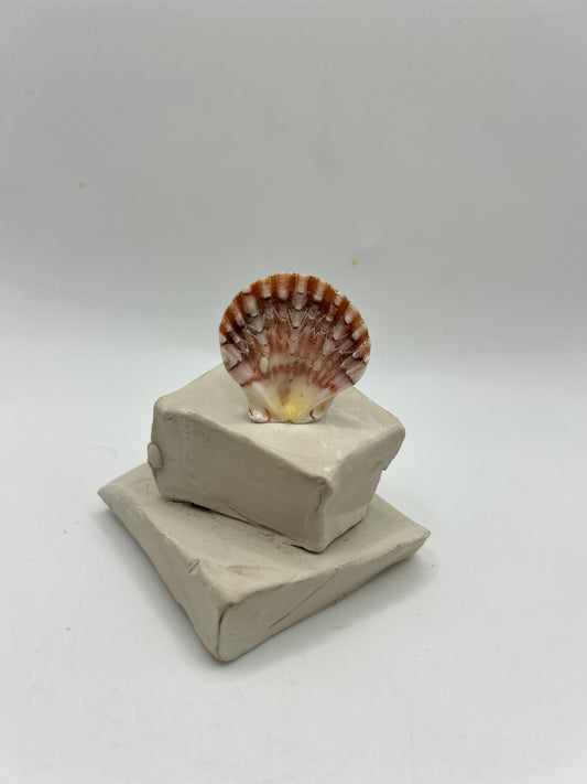 Bague artisanale avec coquillage naturel aux nuances rosées montée sur anneau doré ajustable, création unique inspirée de l’océan et du style bohème chic.