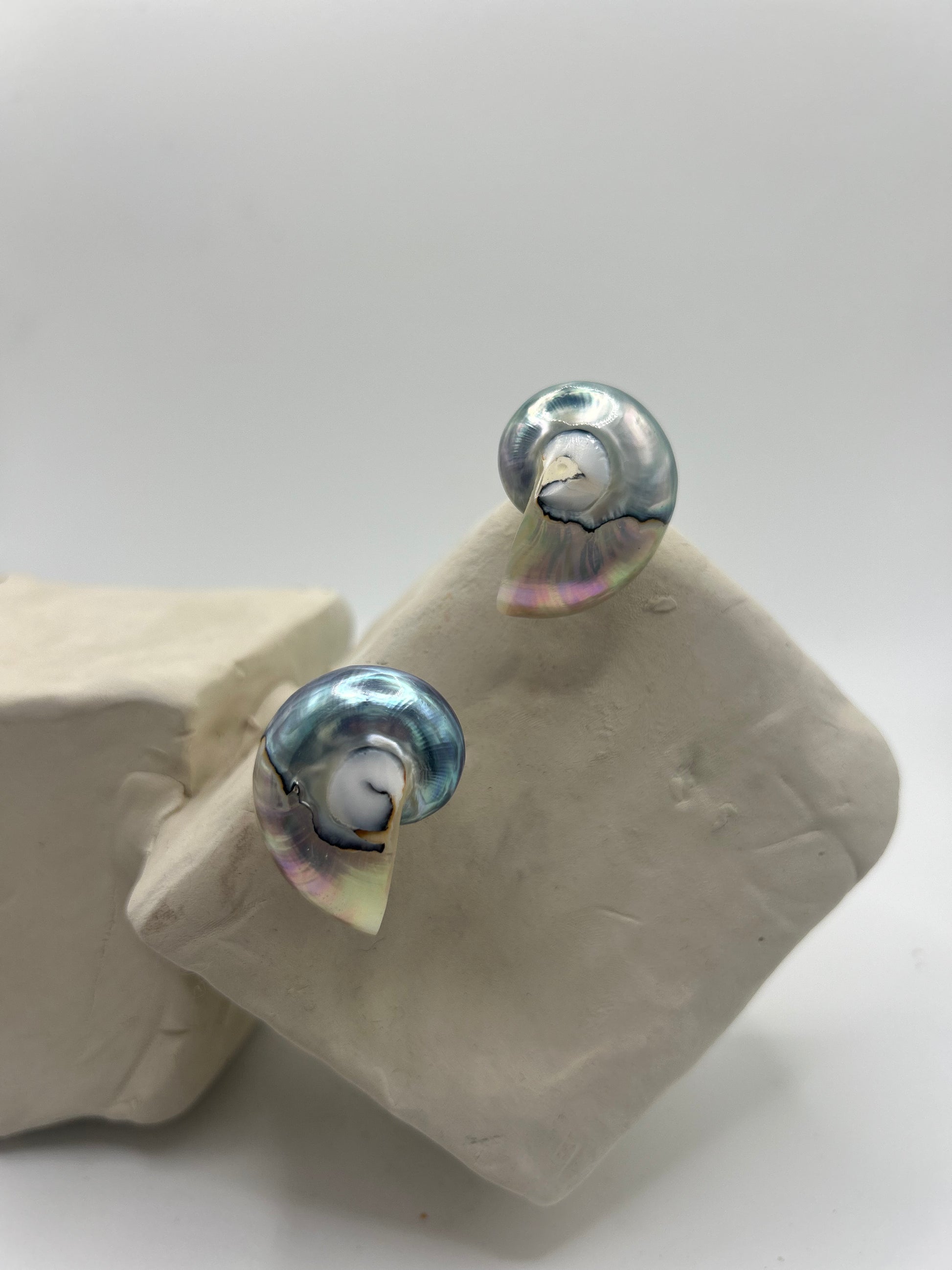 boucle d'oreille coquillage en nacre au coté bleuté et rose pièce unique 