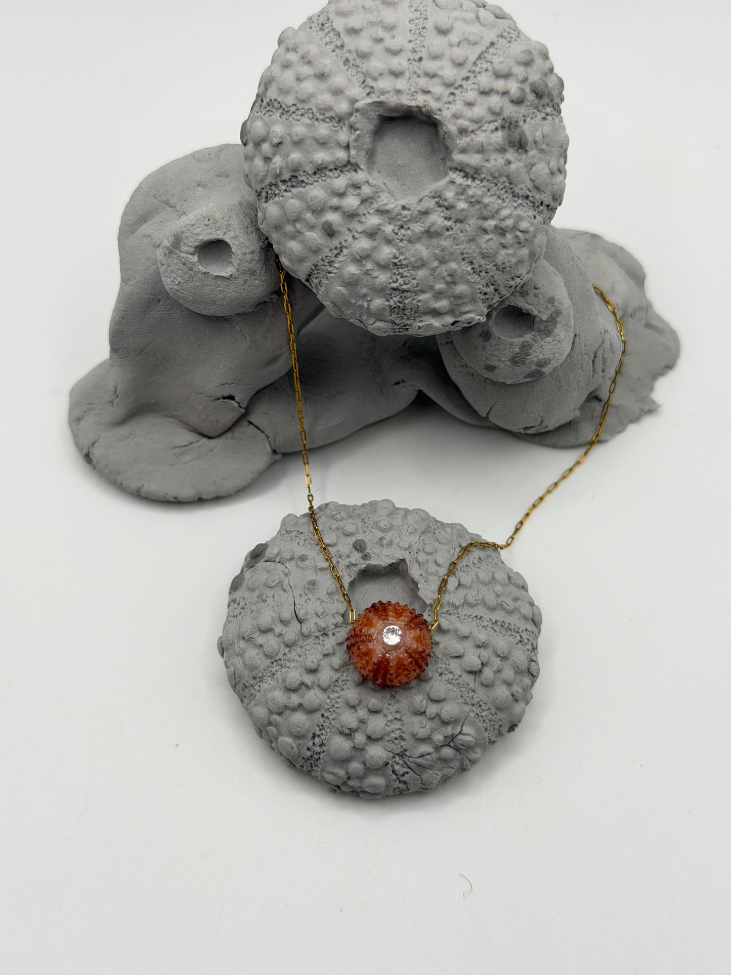 Collier oursin rose C’avah de Soie, bijou marin artisanal avec véritable coquillage d’oursin  , pendentif coquillage monté sur une chaîne dorée, bijou inspiré de la mer et de l’océan.