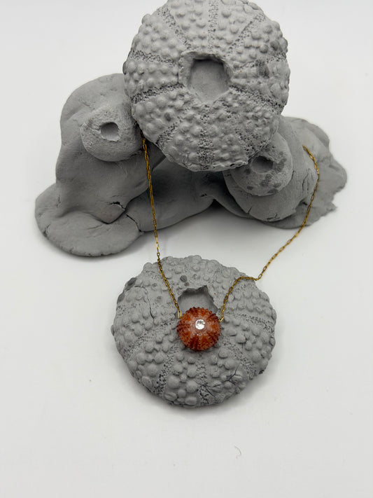 Collier oursin rose C’avah de Soie, bijou marin artisanal avec véritable coquillage d’oursin  , pendentif coquillage monté sur une chaîne dorée, bijou inspiré de la mer et de l’océan.