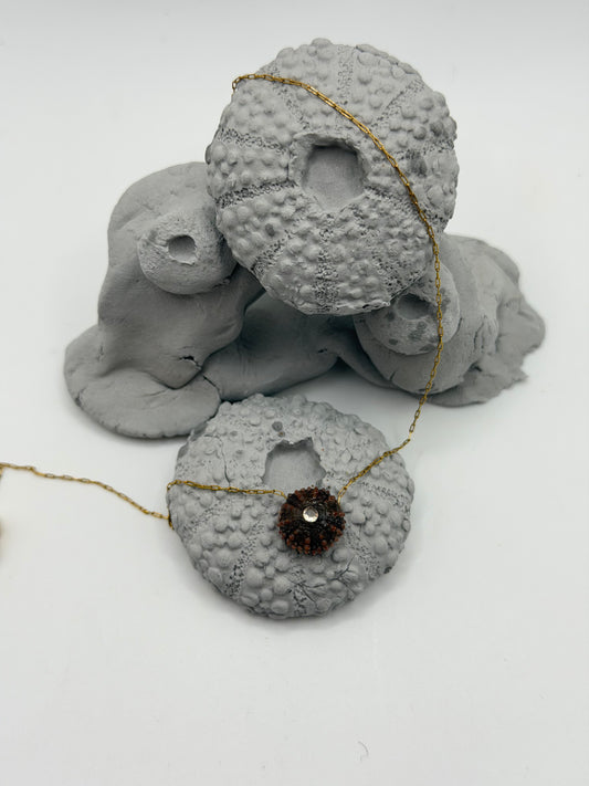 Collier oursin marron C’avah de Soie, bijou marin artisanal avec véritable coquillage d’oursin  , pendentif coquillage monté sur une chaîne dorée, bijou inspiré de la mer et de l’océan.