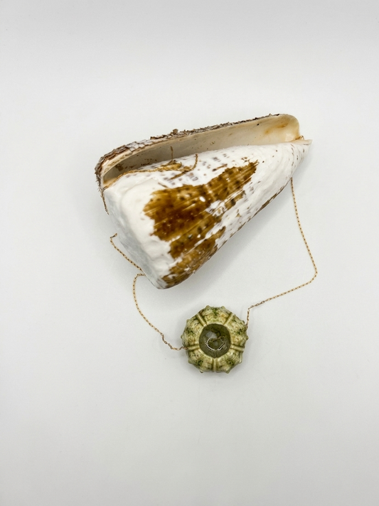 Collier oursin naturel de 1 à 3 cm monté sur une chaîne fine en acier inoxydable, bijou marin artisanal inspiré de l’océan et du bord de mer.