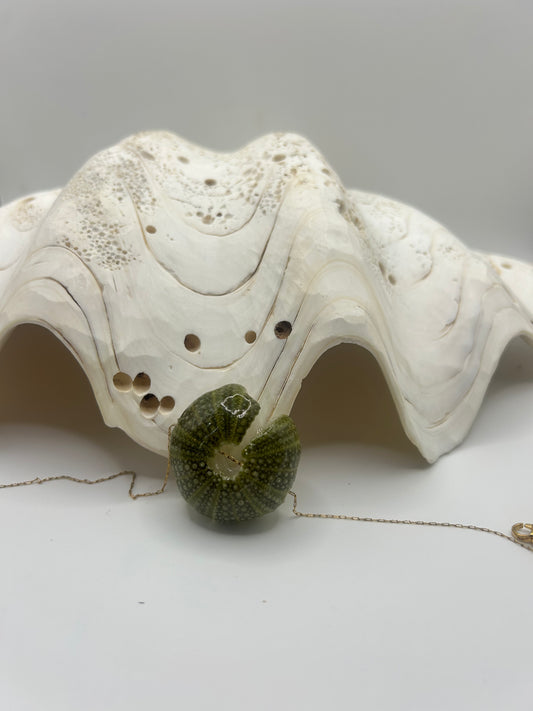 Collier oursin brisé C’avah de Soie, bijou marin brut et authentique. Sans perle, il révèle la beauté naturelle de l’océan dans un format plus court, pour un style bohème chic unique et intemporel.