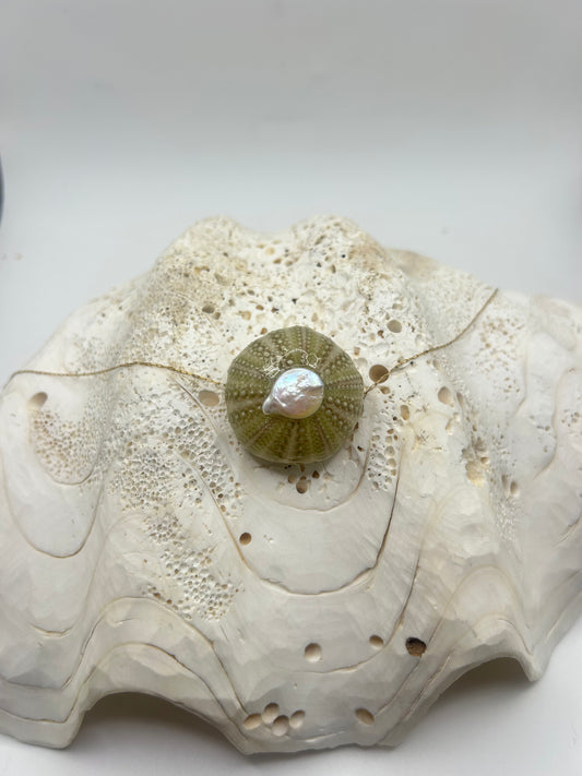 Bijou unique en oursin vert clair, inspiré par la beauté naturelle de la mer. Cette création délicate met en valeur un véritable oursin aux teintes vert pastel, soigneusement travaillé pour révéler ses détails organiques et sa texture naturelle. En son centre, une élégante perle Biwa vient sublimer l’ensemble avec ses reflets nacrés et sa forme irrégulière, apportant une touche d’authenticité et de raffinement.
Ce bijou marin artisanal évoque l’océan, la douceur des plages et l’élégance naturelle. Léger et 