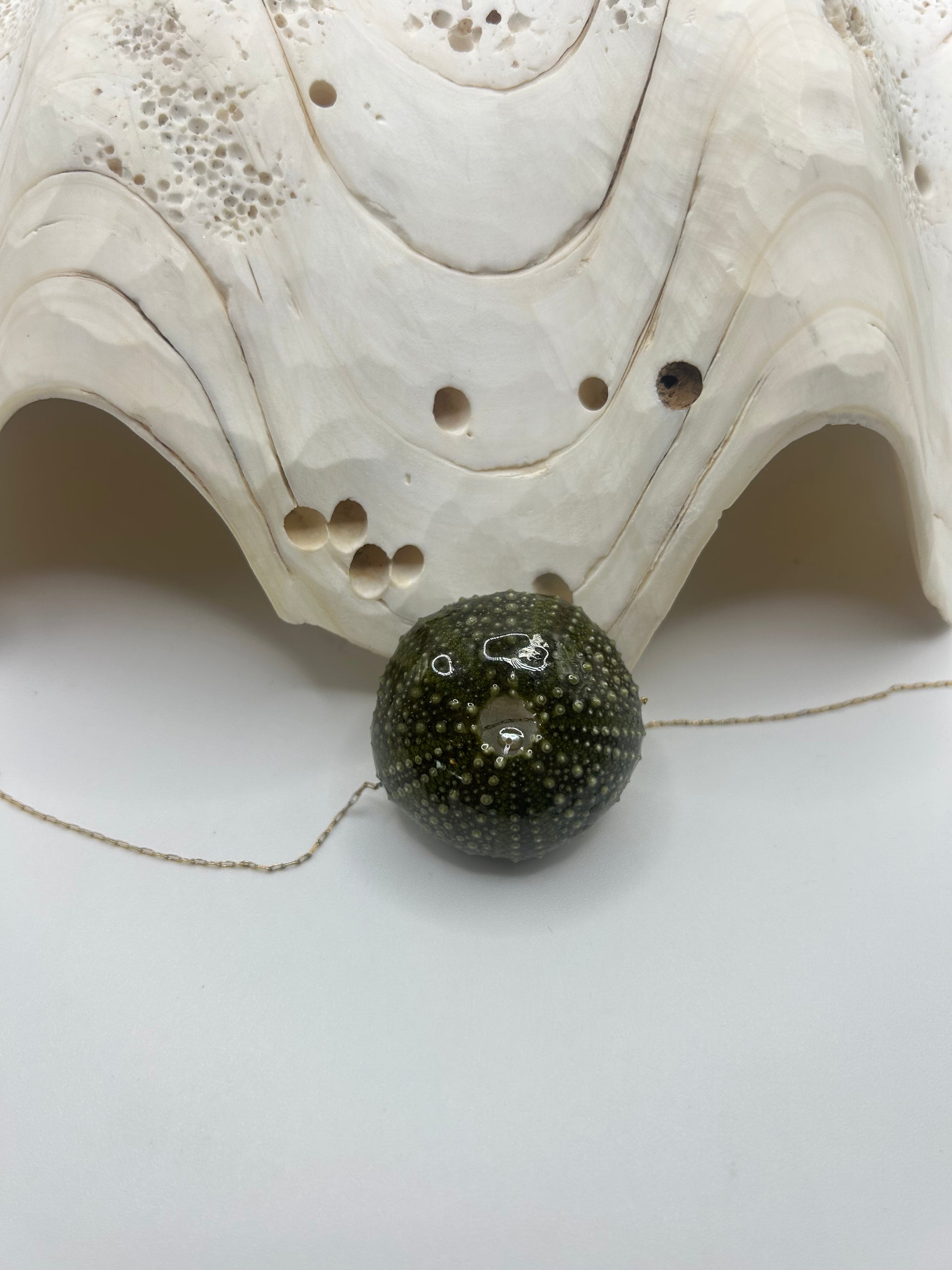 Collier en oursin vert foncé signé C’avah de Soie, une création artisanale inspirée par les profondeurs marines. Ce bijou unique met en valeur un véritable oursin aux nuances vert intense, sublimé par ses textures naturelles et son caractère authentique.
En son centre, une délicate perle d’eau douce apporte une touche de lumière et d’élégance, contrastant harmonieusement avec la profondeur du vert. Chaque perle, avec ses reflets nacrés et ses formes organiques, rend chaque collier absolument unique.
