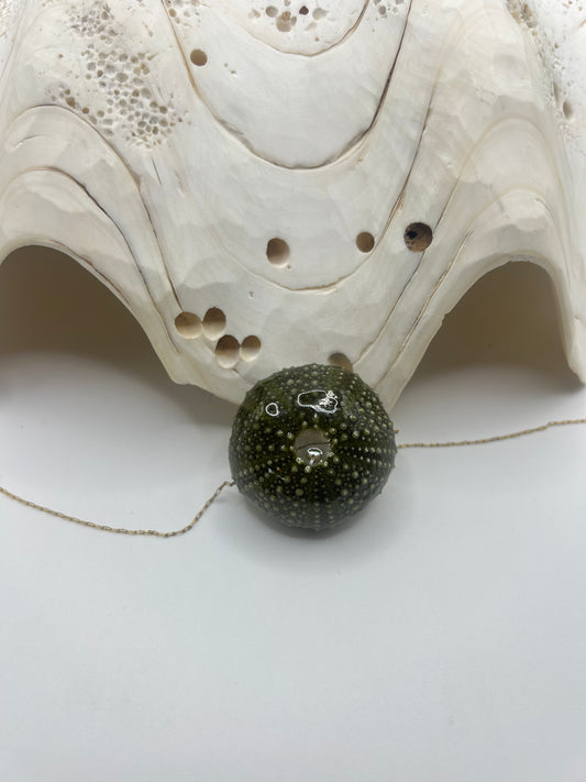 Collier en oursin vert foncé signé C’avah de Soie, une création artisanale inspirée par les profondeurs marines. Ce bijou unique met en valeur un véritable oursin aux nuances vert intense, sublimé par ses textures naturelles et son caractère authentique.
En son centre, une délicate perle d’eau douce apporte une touche de lumière et d’élégance, contrastant harmonieusement avec la profondeur du vert. Chaque perle, avec ses reflets nacrés et ses formes organiques, rend chaque collier absolument unique.
