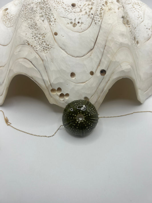 Collier en oursin vert foncé signé C’avah de Soie, une création artisanale inspirée par les profondeurs marines. Ce bijou unique met en valeur un véritable oursin aux nuances vert intense, sublimé par ses textures naturelles et son caractère authentique.
En son centre, une délicate perle d’eau douce apporte une touche de lumière et d’élégance, contrastant harmonieusement avec la profondeur du vert. Chaque perle, avec ses reflets nacrés et ses formes organiques, rend chaque collier absolument unique.
