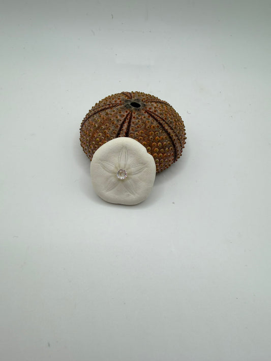 Collier artisanal C’avah de Soie avec véritable dollar des sables naturel, coquillage marin monté sur une chaîne dorée, bijou inspiré de l’océan.