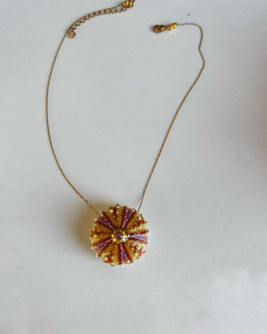 Collier Oursin Doré & Zirconium Rose – Bijou Marin

Un éclat précieux inspiré par la mer.