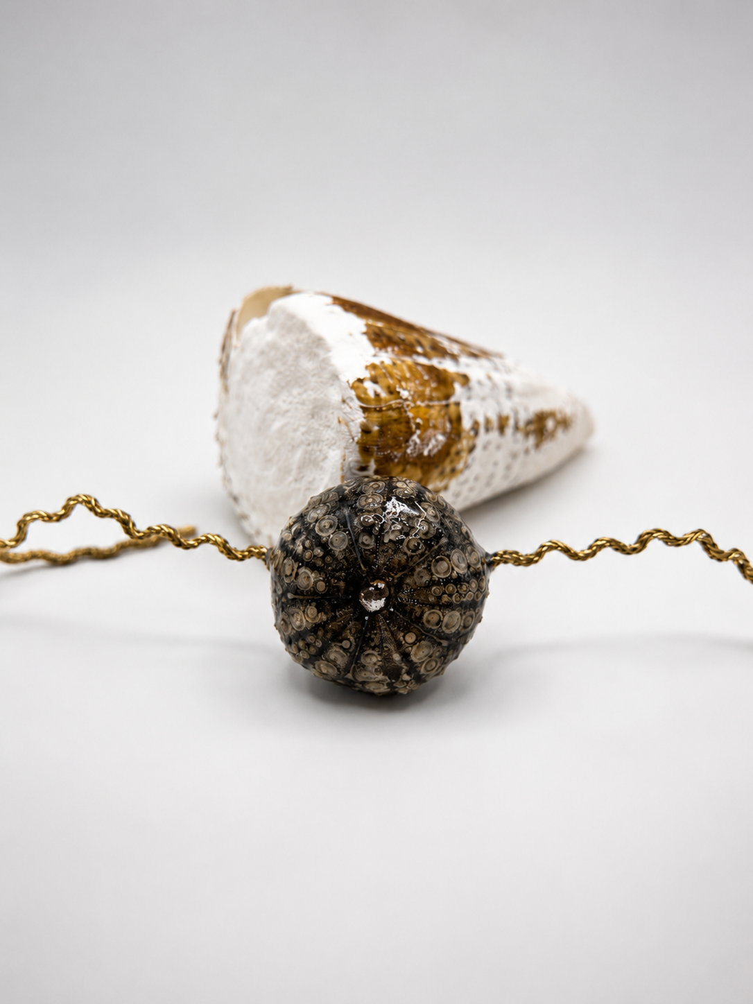 Collier artisanal en Agate bleue naturelle avec coquillage nautile bleu et blanc nacré en pendentif central, bijou inspiré de l’océan et du bord de mer.